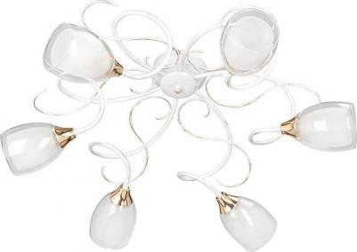 V3261/6PL – фото 1