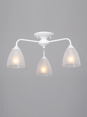 V3946-0/3PL – фото 1