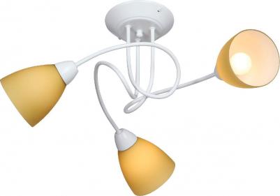 V3955-0/3PL – фото 4