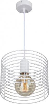 V4073/1S – фото 5