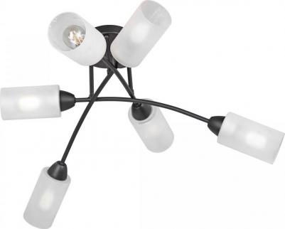 V4188-1/6PL – фото 2