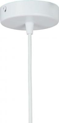 V4931-0/1S – фото 1