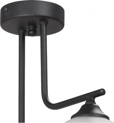 V4944-1/2PL – фото 4