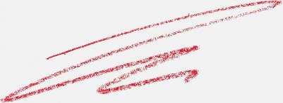 Карандаш для губ Lipliner pencil 8682538215679 – фото 2