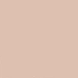 Тени для век Eyeshadow Matt (551) – фото 9