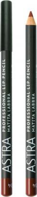 Карандаш Make-Up контурный для губ Professional Lip Pencil, 41 Wood