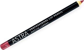 Карандаш Make-Up контурный для губ Professional Lip Pencil, 47 Gentle Petal – фото 1