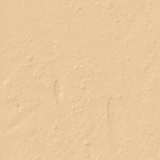 Консилер в стике Skin Concealer Stick 3 г 0716170318615 – фото 1