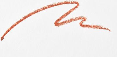 Lip Pencil Карандаш для контура губ Nude – фото 5