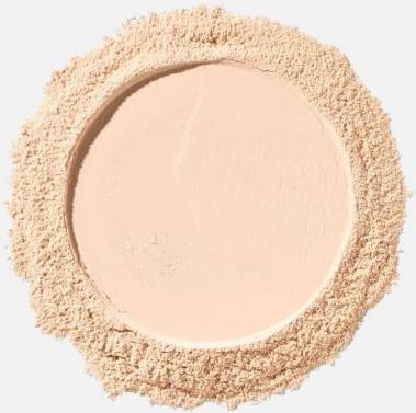 Пудра для лица Пудра рассыпчатая матирующая Soft Blur Matte Setting Powder 8 4059729540614 – фото 6