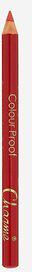 Карандаш для губ Colour proof 4670003563619 – фото 4
