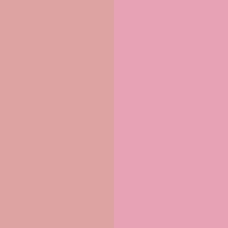 Румяна двухцветные, "Duo Blusher" 4670003560847 – фото 2