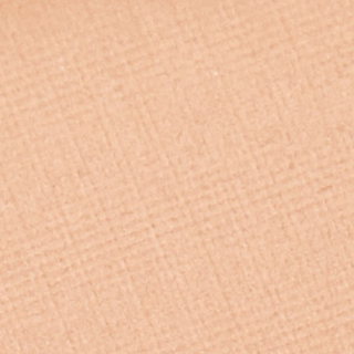 Матирующая компактная пудра Ever Matte Compact Powder 10 г 3666057180583 – фото 7