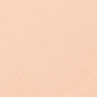 Матирующая компактная пудра Ever Matte Compact Powder 10 г – фото 3