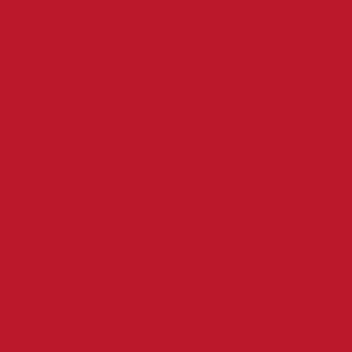 Губная помада SPF 15 Rossetto milano red 4.2 г – фото 4