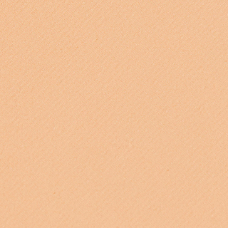 Пудра для лица матирующая FORMULA PURA MATIFYING COMPACT POWDER, тон 02 – фото 6