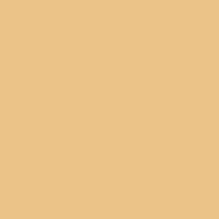 Консилер для лица светоотражающий TAKE COVER RADIANT CREAM CONCEALER 3.5 мл – фото 1