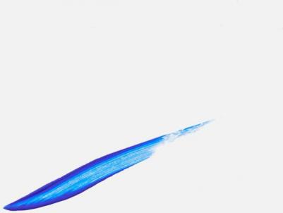 цветная Подводка для глаз FLASH LINER COLORED EYELINER 3.5 мл – фото 4