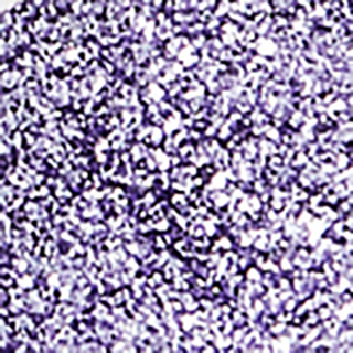 Пигмент спаркл для глаз Sparkle pigment for eyes 3 г 4630121832998 – фото 5