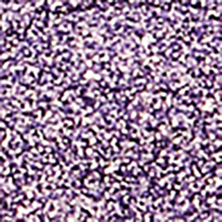 Пигмент спаркл для глаз Sparkle pigment for eyes 3 г 4630121834367 – фото 4