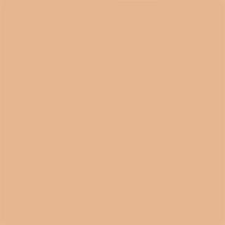 Пудра для лица Face powder Tantrix 6.5 г – фото 4