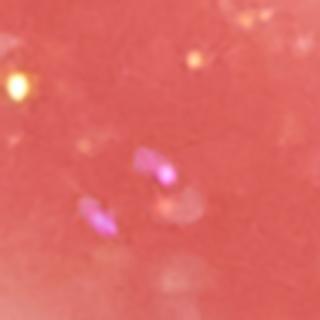 Блеск для губ с эффектом объема ICON lips glossy volume тон 503 – фото 10