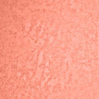 Румяна для лица Mineralize Blush 0773602401918 – фото 6