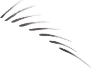 Средства для бровей Карандаш для бровей двусторонний Shape & Shade Brow Tint – фото 2