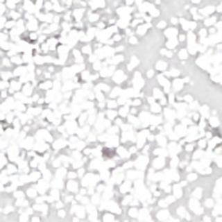 Карандаш для глаз STREAMLINE EYELINER 1.3 г 5057566723442 – фото 6