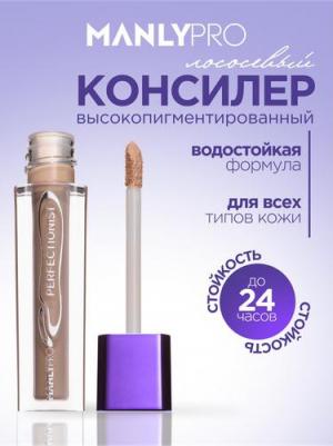 Стойкий высокопигментированный консилер CNC Perfectionist (CNC4) – фото 1