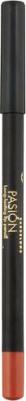 Pasion Long Lasting Lip Pencil, 226