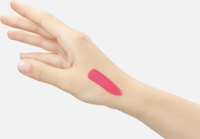 Румяна Стойкий пигмент для губ и щек СOLOR SALUTE LIP & CHEEK 4640039300274 – фото 2