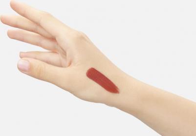 Румяна Стойкий пигмент для губ и щек СOLOR SALUTE LIP & CHEEK 4640039300670 – фото 5