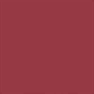 24 Помада с аргановым маслом 4,3 г – фото 5