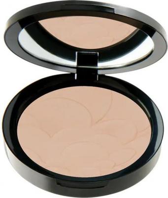Пудра для лица PROFASHION ADVANCED POWDER 8690644007248 – фото 1