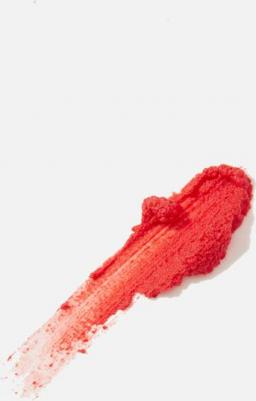 Тинт матовый для губ | Blur Fudge Tint 09 CORAL JUBILEE – фото 1