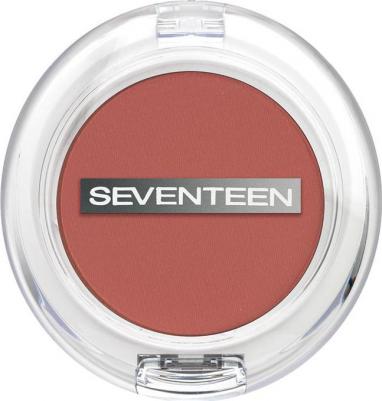 Тени для век Natural Matte Silky Blusher (9) – фото 9