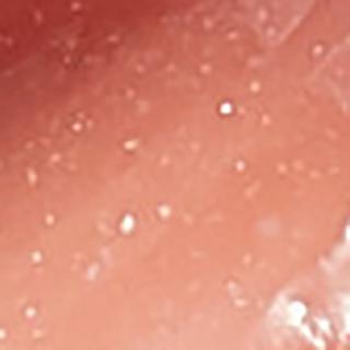 Блеск ухаживающий для губ LIP CARE GLOSS INTENSE, (02 - NAKED) – фото 2