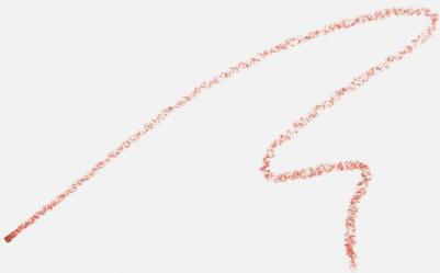 Карандаш для губ STUDIO стойкий оттенок MONZA благородный розовый LIP PENCIL – фото 6