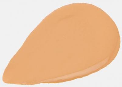 Тональный крем для лица Perfect Liquid Foundation т.03 20 мл – фото 7