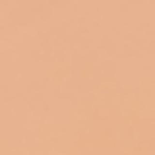 Future Solution LX Тональное средство с эффектом сияния E ROSE 2 – фото 7