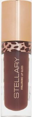 Big Lips Hyaluronic Lip Gloss 7640473387739