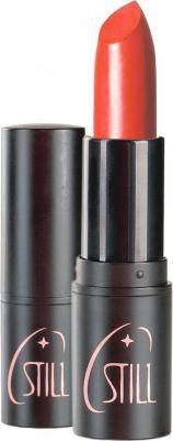 Помада для губ насыщенный цвет ALL DREAMS не растекается питательная увлажняющая смягчает интенсивный цвет содержит витамин Е косметика для макияжа