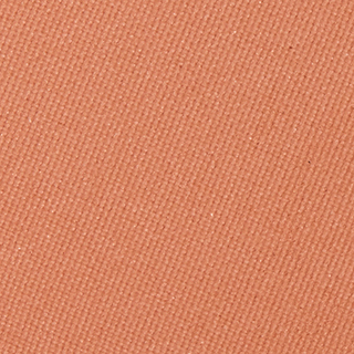 Румяна для лица компактные Triumph Blush 86 оранжево-персиковый – фото 6