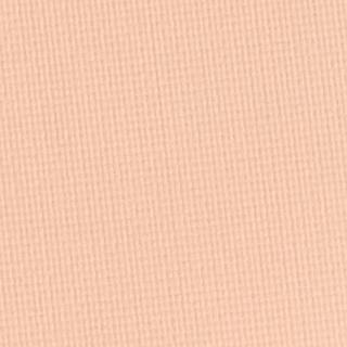 к_topface_пудра шелк.instyle wet & dry powder_02 светло-бежевый 7F6022002 – фото 4