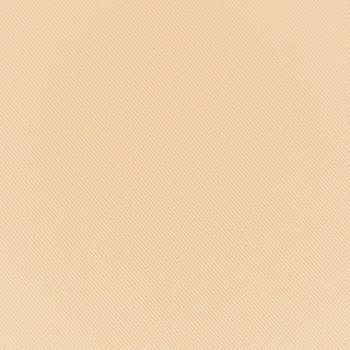 к_topface_пудра шелк.instyle wet & dry powder_06 бежевый 7F6022006 – фото 2