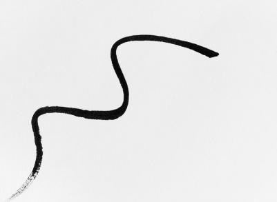Подводка для глаз Подводка жидкая для глаз "Line studio ultimate eyeliner" – фото 1
