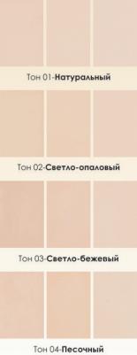 Triumf Ideal Balance Консилер + 2 тона пудры №1 (натуральный) – фото 3