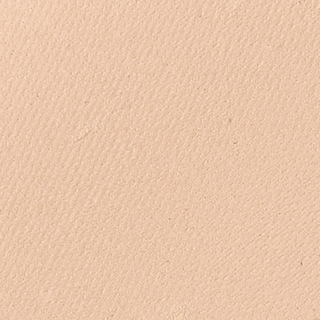 Пудра компактная матирующая Teinte Absolute matte, тон 04 – фото 2