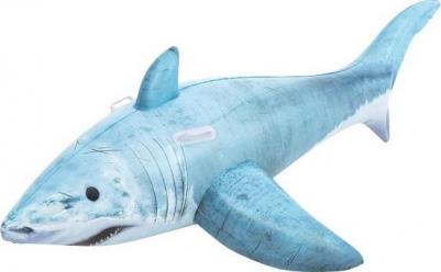 41405 – фото 3